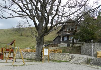image02