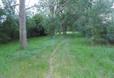 image02