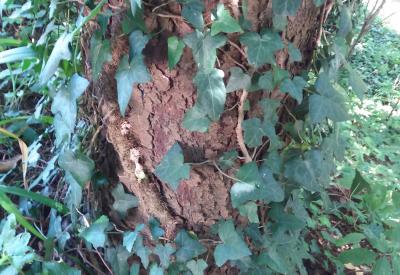 image02