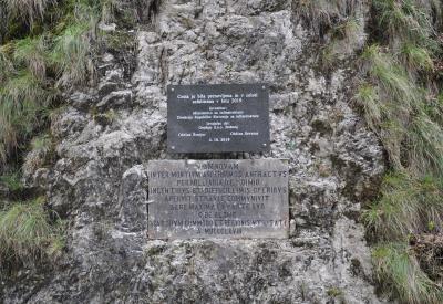 image02