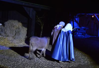 image02
