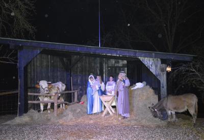 image02