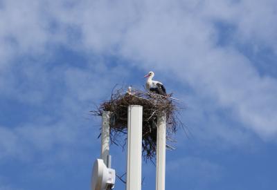 image02
