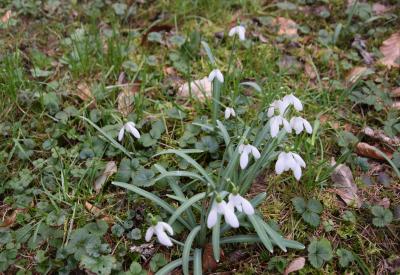 image02