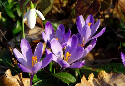 image02