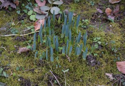 image02
