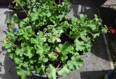 image02
