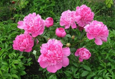 image02