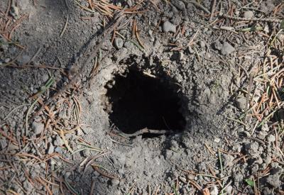 image02