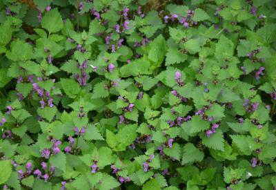 image02