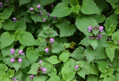 image02