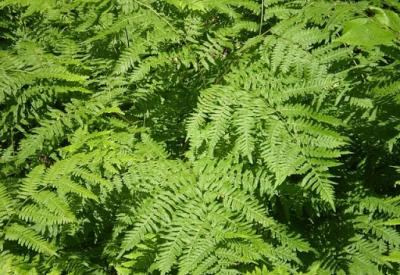 image02