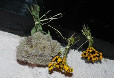 image02