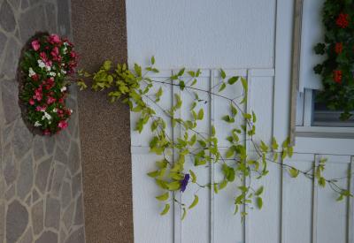 image02