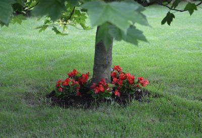 image02