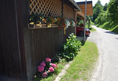 image02