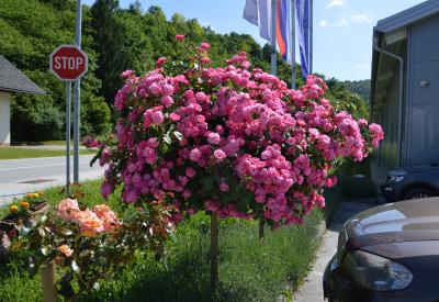 image02