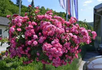 image02
