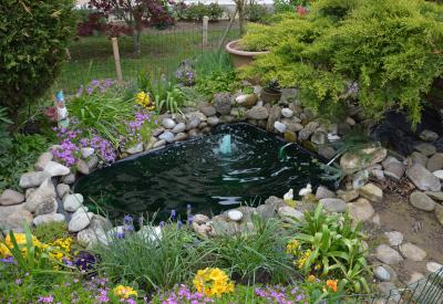 image02