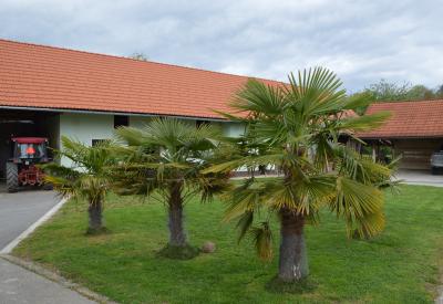 image02