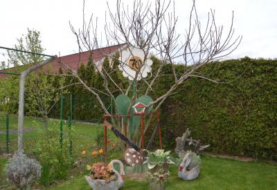 image02