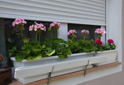image02