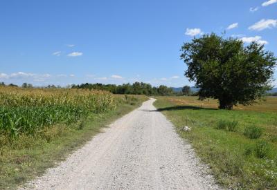 image02