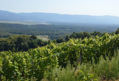 image02