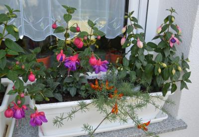 image02