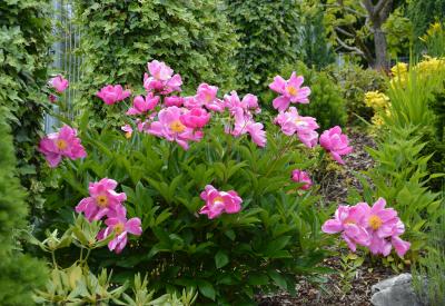 image02