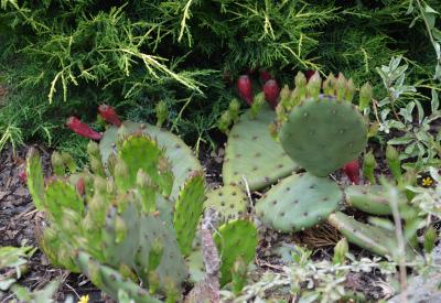 image02