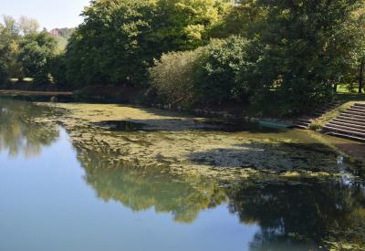 image02