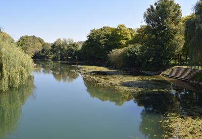 image02