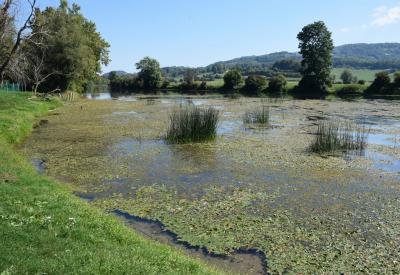 image02
