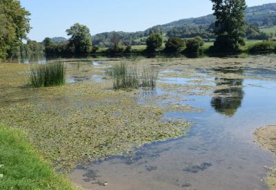 image02