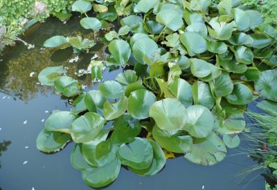 image02