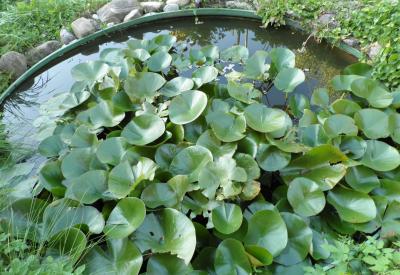 image02