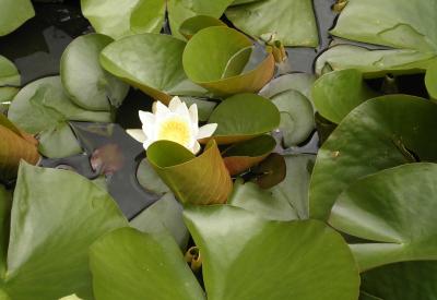 image02