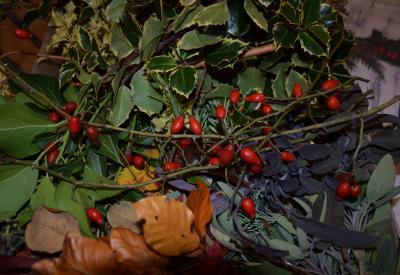 image02
