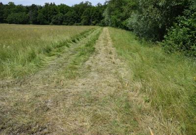 image02