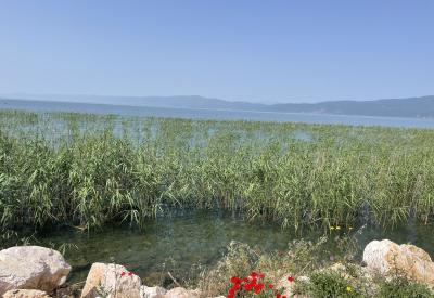 image02