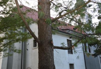 image02