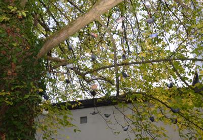image02