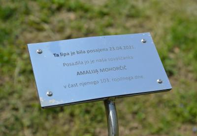 image02