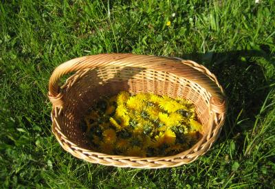 image02