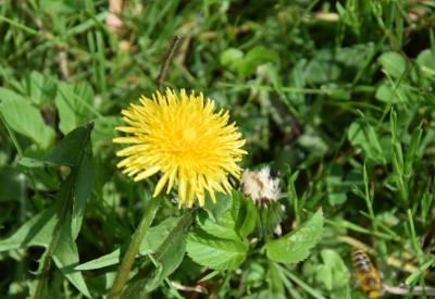 image02
