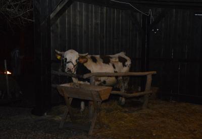 image02