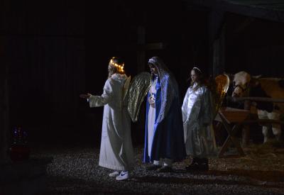 image02