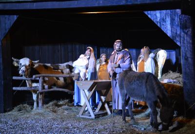 image02