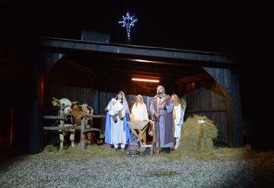 image02